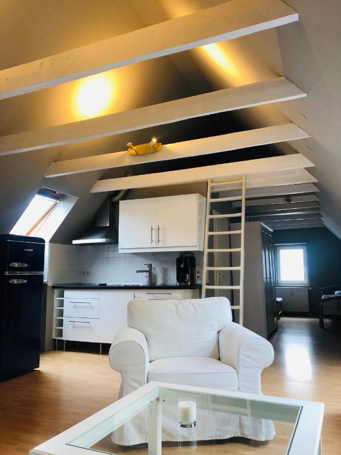 Riverview Loft In Central Herzogenaurach Exteriér fotografie