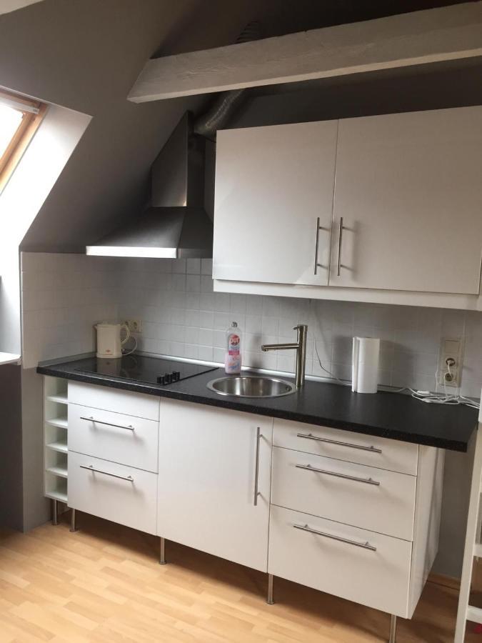 Riverview Loft In Central Herzogenaurach Exteriér fotografie